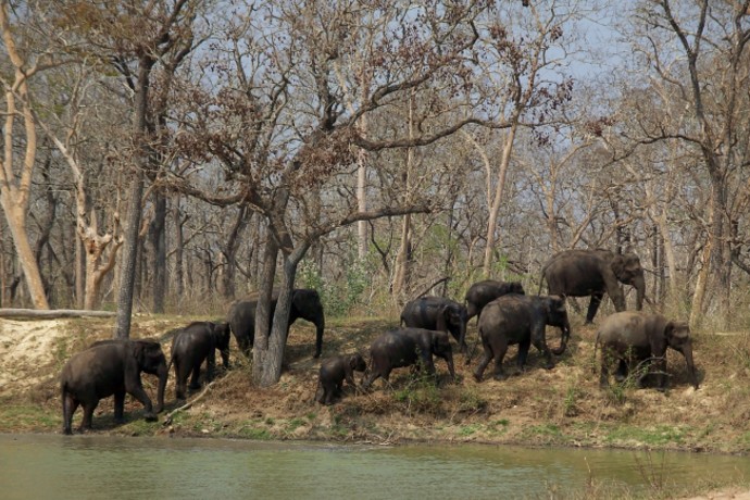 Karnataka Wildlife Tour